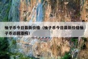 柚子币今日最新价格（柚子币今日最新价格柚子币还回涨吗）