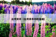台湾货币（台湾货币印的是谁）