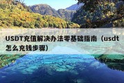 USDT充值解决办法零基础指南（usdt怎么充钱步骤）