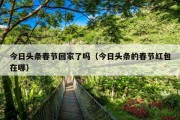 今日头条春节回家了吗（今日头条的春节红包在哪）