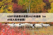 USDT手续费手续费2025年最新（usdt买入扣手续费）