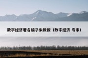 数字经济著名骗子朱教授（数字经济 专家）