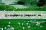 篮球场防护网价格（球场防护网厂家）