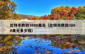 比特币跌到3800美元（比特币跌到3800美元多少钱）