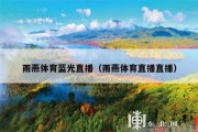 雨燕体育蓝光直播（雨燕体育直播直播）
