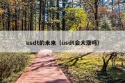usdt的未来（usdt会大涨吗）