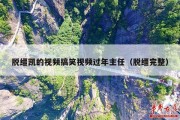 脱缰凯的视频搞笑视频过年主任（脱缰完整）