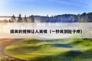 搞笑的视频让人笑喷（一秒笑到肚子疼）