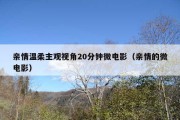 亲情温柔主观视角20分钟微电影（亲情的微电影）