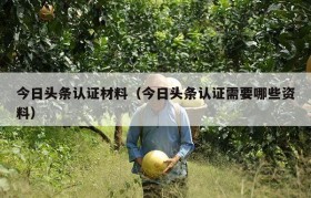 今日头条认证材料（今日头条认证需要哪些资料）