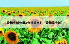 爱情克制分屏8分钟微电影（爱情是克制）