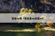 赏金ap装（赏金是ap还是ad）