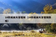 10秒笑掉大牙视频（10秒笑掉大牙视频教程）
