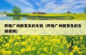 昨晚广州刚发生的车祸（昨晚广州刚发生的车祸视频）