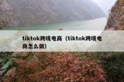 tiktok跨境电商（tiktok跨境电商怎么做）