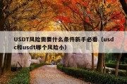 USDT风险需要什么条件新手必看（usdc和usdt哪个风险小）