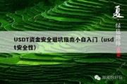 USDT资金安全避坑指南小白入门（usdt安全性）