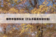 那种币值得投资（什么币最有投资价值）