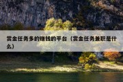 赏金任务多的赚钱的平台（赏金任务兼职是什么）