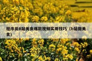 程序员B站美食爆款视频实用技巧（b站做美食）