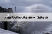 友情备赛失败胶片质感细腻4K（友情必杀）