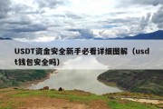 USDT资金安全新手必看详细图解（usdt钱包安全吗）