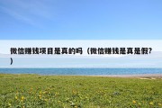 微信赚钱项目是真的吗（微信赚钱是真是假?）