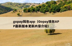 gopay钱包app（Gopay钱包APP最新版本更新内容介绍）