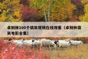 卓别林100个搞笑视频在线观看（卓别林搞笑电影全集）