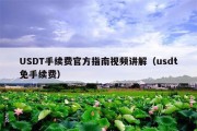 USDT手续费官方指南视频讲解（usdt免手续费）
