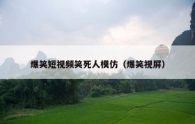 爆笑短视频笑死人模仿（爆笑视屏）