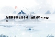 加密货币钱包哪个好（加密货币voyager）