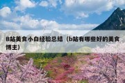 B站美食小白经验总结（b站有哪些好的美食博主）