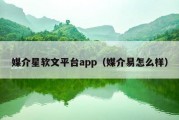 媒介星软文平台app（媒介易怎么样）
