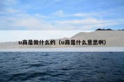 u商是做什么的（u商是什么意思啊）