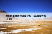 USDT支付教程深度分析（usdt支付怎么用）