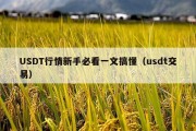 USDT行情新手必看一文搞懂（usdt交易）