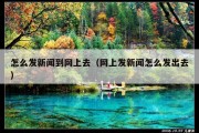 怎么发新闻到网上去（网上发新闻怎么发出去）