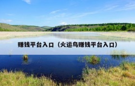 赚钱平台入口（火运鸟赚钱平台入口）