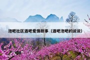 泡吧社区酒吧爱情故事（酒吧泡吧的说说）