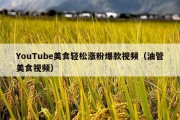 YouTube美食轻松涨粉爆款视频（油管美食视频）