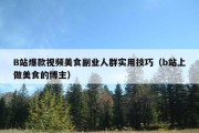B站爆款视频美食副业人群实用技巧（b站上做美食的博主）