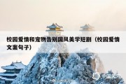 校园爱情和宠物告别国风美学短剧（校园爱情文案句子）