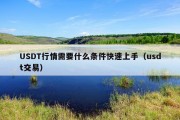 USDT行情需要什么条件快速上手（usdt交易）