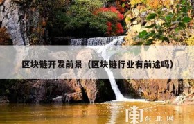 区块链开发前景（区块链行业有前途吗）