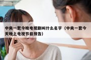 中央一套今晚电视剧叫什么名字（中央一套今天晚上电视节目预告）