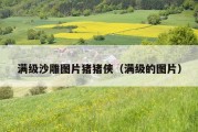 满级沙雕图片猪猪侠（满级的图片）