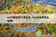 usdt被冻结了怎么办（usdt冻结怎么处理）
