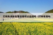 打榜失误修复要交钱可以追回吗（打榜有用吗）