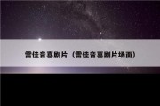 雷佳音喜剧片（雷佳音喜剧片场面）